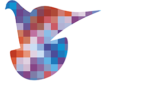 Pigeon Pixels Logo